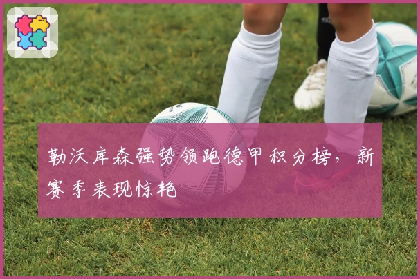 勒沃库森强势领跑德甲积分榜，新赛季表现惊艳